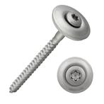 25 -100 st RVS, Sprengler golfplaat houtschroeven in 100 mm, Verzenden, Nieuw, Minder dan 180 cm