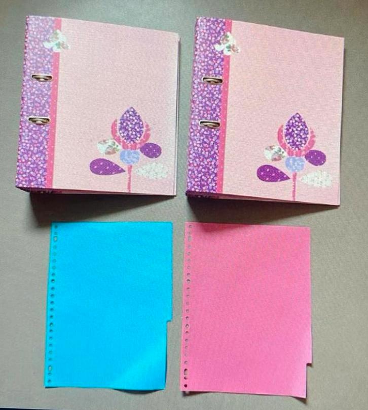 Opbergmappen met ringbanden, Diversen, Schrijfwaren, Zo goed als nieuw, Ophalen of Verzenden