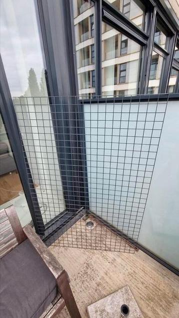 Plantenklimrek beschikbaar voor biedingen