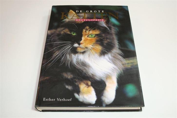 Grote Kattenencyclopedie — Naslagwerk van Esther Verhoef, Boeken, Dieren en Huisdieren, Zo goed als nieuw, Katten, Ophalen of Verzenden