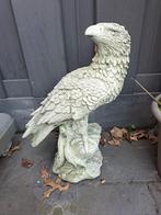 Mooi Tuinbeeld Arend - Amersfoort, Ophalen, Gebruikt, Beton, Dierenbeeld