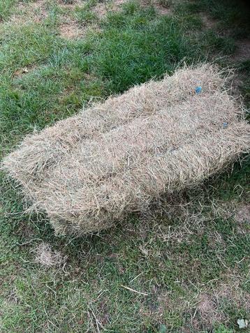 Te koop stevige pakjes grof hooi baaltjes hooi beschikbaar voor biedingen