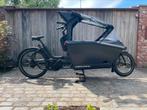 ::NEW:: Urban Arrow Family Cargo Line Automaat Bakfiets, Overige merken, 3 kinderen, Nieuw, Ophalen of Verzenden