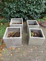 Plantenbakken beton look, Tuin en Terras, Ophalen of Verzenden, Gebruikt, Vierkant, Kunststof