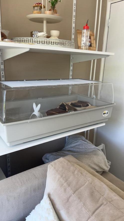 Hamsterhok, Dieren en Toebehoren, Knaagdieren en Konijnen | Hokken en Kooien, Zo goed als nieuw, Hok, Minder dan 60 cm, Hamster