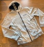 Grijs vest Hugo Boss maat 16/176, Ophalen of Verzenden, Zo goed als nieuw, Jongen, Trui of Vest