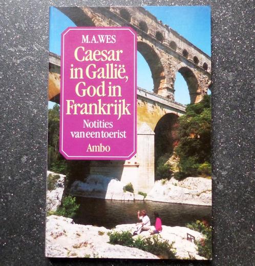 Caesar in Gallië, God in Frankrijk boek Romeinse tijd, Boeken, Geschiedenis | Wereld, Gelezen, Europa, 14e eeuw of eerder, Ophalen of Verzenden