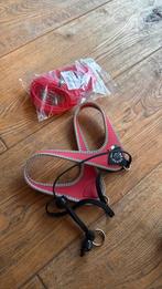 Tre Ponti kattenloop band, Ophalen of Verzenden, Nieuw