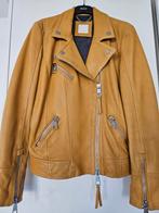 Hugo Boss Leren Biker Jasje - Maat 36, Kleding | Dames, Jasjes, Kostuums en Pakken, Geel, Ophalen of Verzenden, Zo goed als nieuw