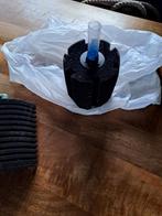 Borstelneuzen voor aquarium, Ophalen of Verzenden, Plant(en), Steen of Hout