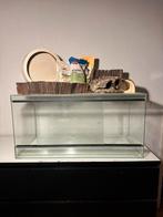 Hamster terrarium hok kooi Escaping, Dieren en Toebehoren, Knaagdieren en Konijnen | Hokken en Kooien, Minder dan 60 cm, Ophalen of Verzenden