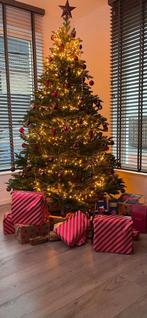 Black Box Bolton kerstboom 230cm hoog 150cm breed 2 jaar oud, Diversen, Ophalen