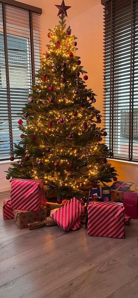 Black Box Bolton kerstboom 230cm hoog 150cm breed 2 jaar oud, Diversen, Kerst, Ophalen