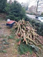 Enorme stapel hout, laatste kans!, Tuin en Terras, Haardhout, Minder dan 3 m³, Ophalen