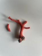 Antiek bloed koraal :& Geode Collectie, Ophalen of Verzenden