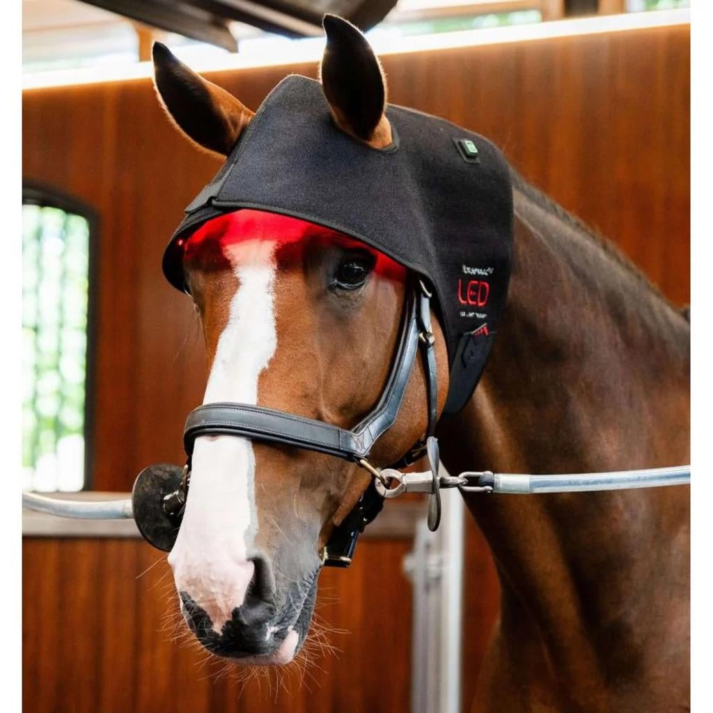 Horseware Red Light Therapy poll cap, Dieren en Toebehoren, Paarden en Pony's | Overige Paardenspullen, Zo goed als nieuw, Ophalen of Verzenden