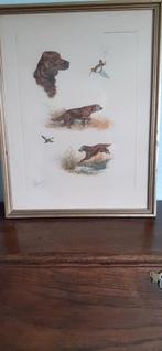 Kleurengravure jachthond., Ophalen