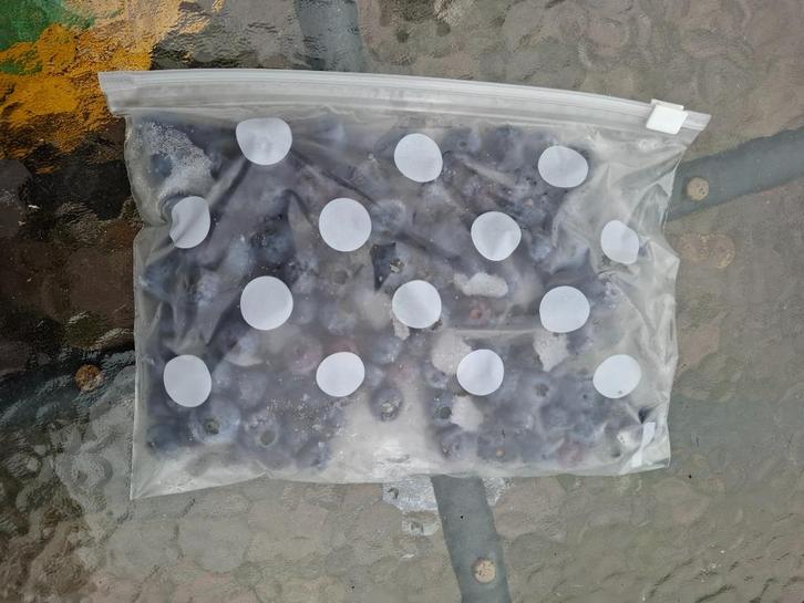 Diepvries biologische blauwe bessen, Diversen, Levensmiddelen, Ophalen