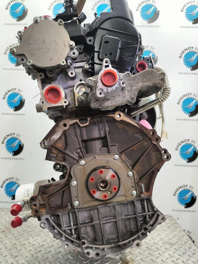 FORD FIESTA MOTOR 2020, Auto-onderdelen, Motor en Toebehoren, Ophalen of Verzenden, Gebruikt, Stiba lid