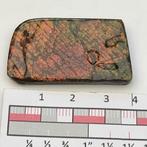 Ammoliet in transparante display Canada Ammolite, Ophalen of Verzenden, Fossiel