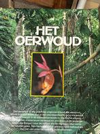 Het oerwoud, Gelezen, Bloemen, Planten en Bomen, Wwf, Ophalen of Verzenden