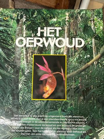 Het oerwoud beschikbaar voor biedingen