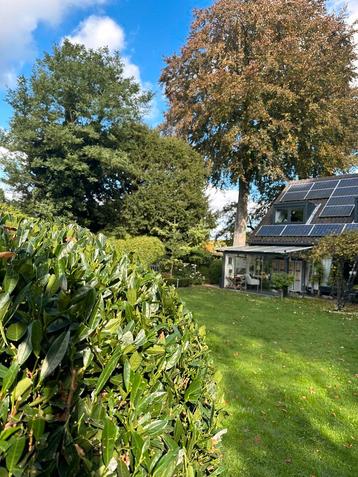 Tuin onderhoud beschikbaar voor biedingen