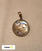 sterrenbeeld Leeuw hanger, Ophalen of Verzenden, Nieuw, Zilver, Overige materialen
