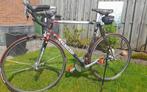 Colnago racefiets, Gebruikt, Aluminium, 57 tot 61 cm, Meer dan 20 versnellingen