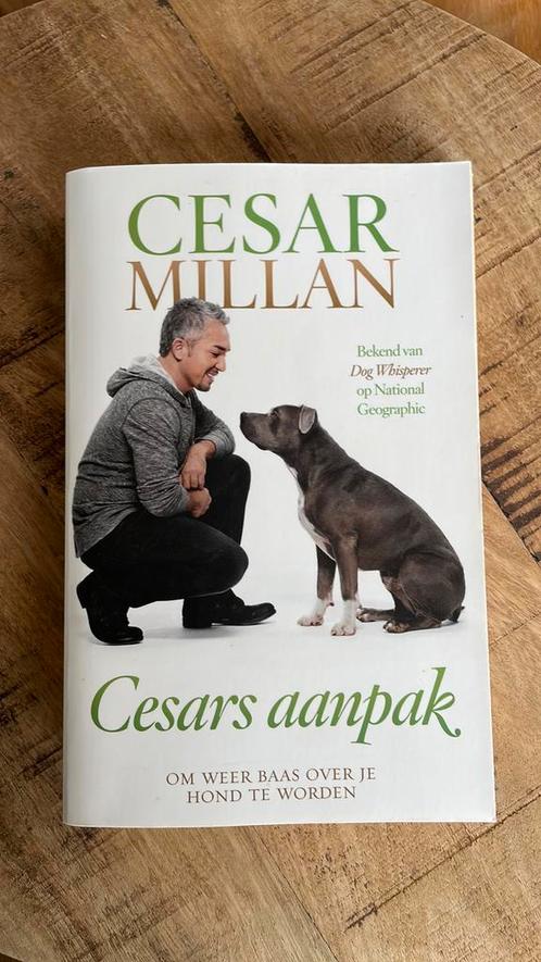 Cesar Millan - Cesars aanpak, Boeken, Dieren en Huisdieren, Zo goed als nieuw, Honden, Ophalen of Verzenden