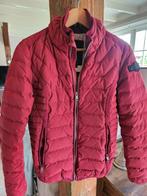 Airforce tussenjas bordeaux xs, 16 jaar, Airforce, Ophalen of Verzenden, Zo goed als nieuw, Maat 34 (XS) of kleiner