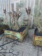 Omplete tuin decoratie bomen stoelen tafels enz, Ophalen, Zo goed als nieuw