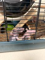 Natte ratten, Dieren en Toebehoren, Ophalen, Kooi, Zo goed als nieuw, 90 cm of meer