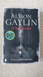 In het donker, Alison Gaylin, Ophalen of Verzenden, Gelezen, Alison Gaylin