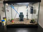 Vissenkom, Dieren en Toebehoren, Vissen | Aquaria en Toebehoren, Ophalen of Verzenden
