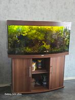 juwel vision 260, Dieren en Toebehoren, Ophalen, Zo goed als nieuw, Gevuld zoetwateraquarium