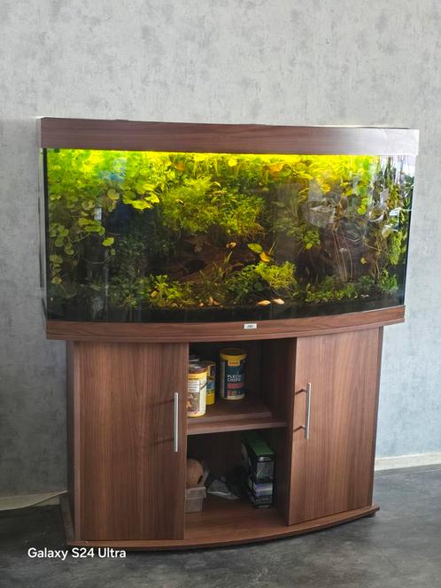 juwel vision 260, Dieren en Toebehoren, Vissen | Aquaria en Toebehoren, Zo goed als nieuw, Gevuld zoetwateraquarium, Ophalen