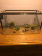Aquarium met accesoires, Dieren en Toebehoren, Ophalen, Gebruikt, Plant(en), Steen of Hout