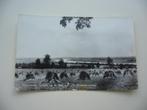 OOSTERBEEK  >  GEZICHT OP DE RIJN, Verzenden, 1940 tot 1960, Ongelopen, Gelderland