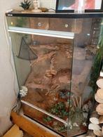 Mooi groot terrarium.  3d achterkant., Dieren en Toebehoren, Reptielen en Amfibieën | Toebehoren, Ophalen, Zo goed als nieuw, Terrarium of Paludarium