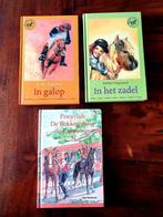 Ponyclub de bokkesprong boek, Ophalen of Verzenden