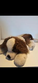 Steiff sint bernard hond " Molly Bernie", Ophalen of Verzenden, Zo goed als nieuw, Stoffen beer, Steiff