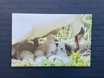 Decoratie voor tuinwand, buitencanvas LENTE  beschikbaar voor biedingen