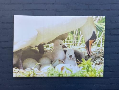 Decoratie voor tuinwand, buitencanvas LENTE, Tuin en Terras, Tuinwanddecoratie, Gebruikt, Ophalen