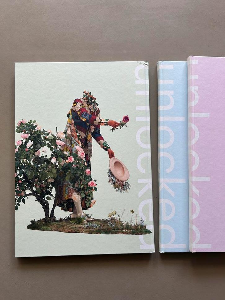 Unlocked Rabo Kunstcollectie #3.1, 3.2, 3.3, Antiek en Kunst, Antiek | Boeken en Bijbels, Ophalen of Verzenden