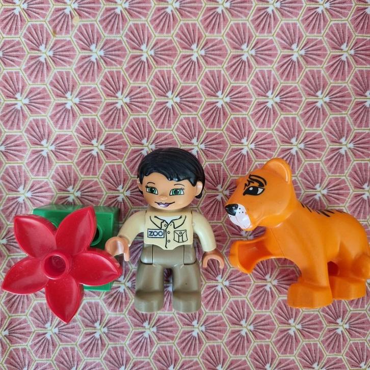 Duplo Dierenverzorger met Tijger, Kinderen en Baby's, Speelgoed | Duplo en Lego, Duplo, Ophalen of Verzenden