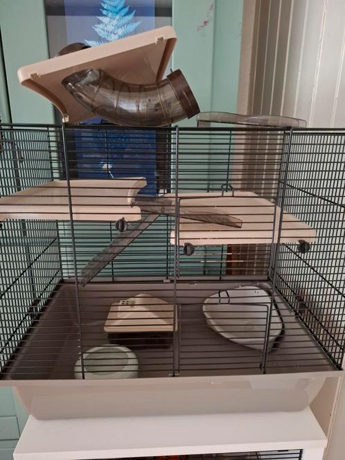 Mooie hamsterkooi, Dieren en Toebehoren, Knaagdieren en Konijnen | Hokken en Kooien, Zo goed als nieuw, Kooi, Minder dan 60 cm