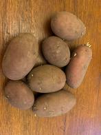 Poters Rode Pimpernel aardappels, Tuin en Terras, Ophalen, Overige soorten, Volle zon