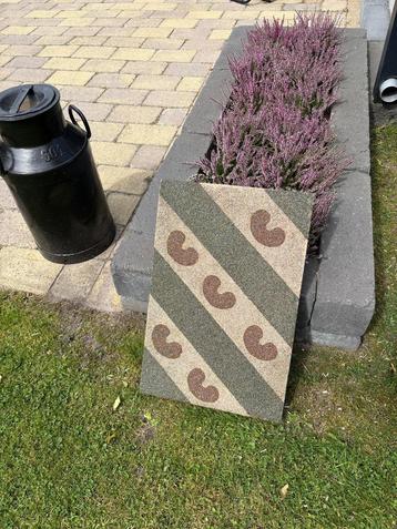 Friesland beton tegel 40x60 beschikbaar voor biedingen
