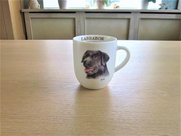Ter Steege Jet 1 senseomok labrador Retriever D7cm H8cm beschikbaar voor biedingen